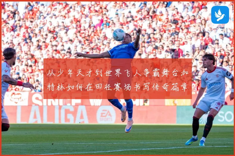 从少年天才到世界飞人争霸舞台加特林如何在田径赛场书写传奇篇章解析