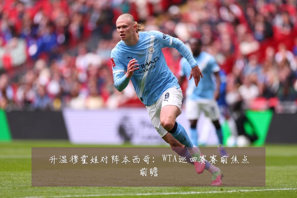 升温穆霍娃对阵本西奇:WTA巡回赛赛前焦点前瞻